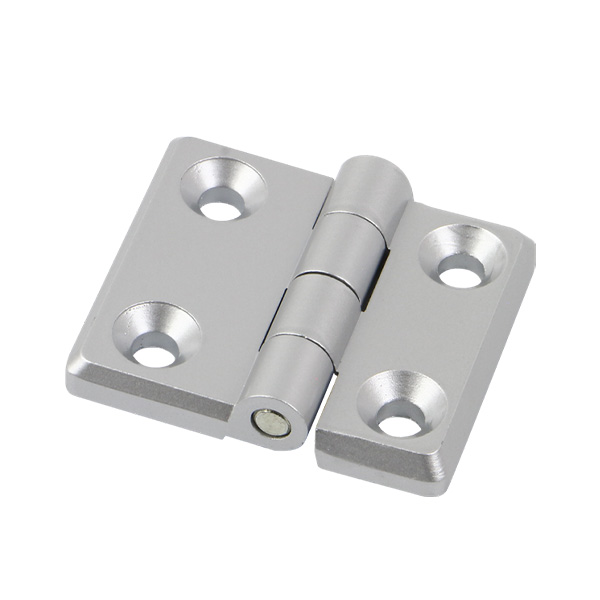 Free Swing Hinges CL005-3