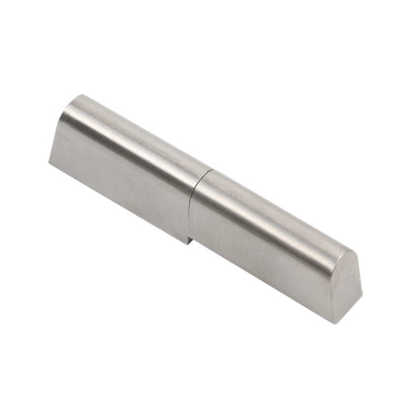 Removable Hinge H2-2017