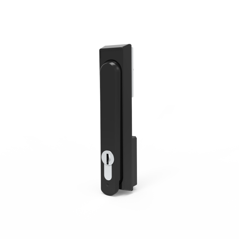 Swing handle lock MS840-2-NC-10