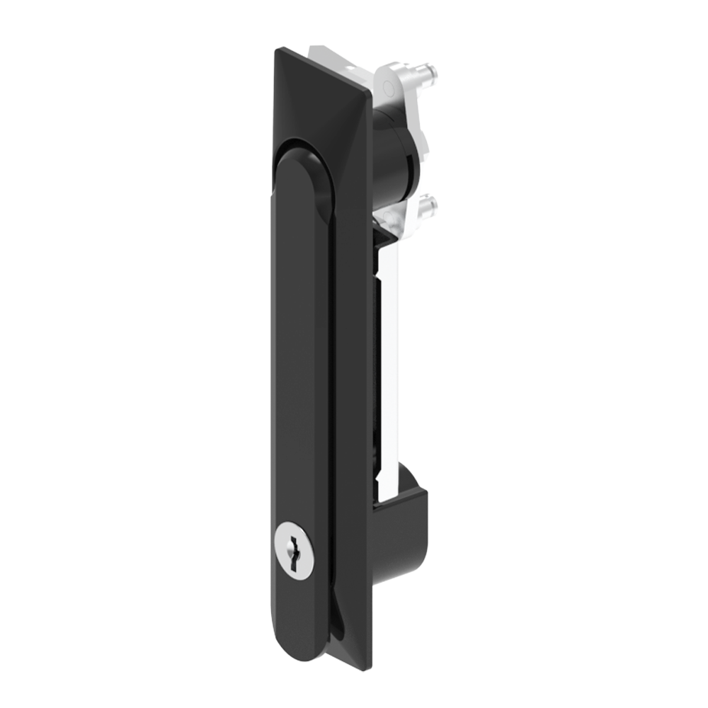 Swing handle lock-MS861-2 Sides